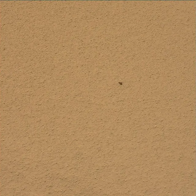 Sol 66: Mast Camera (Mastcam)