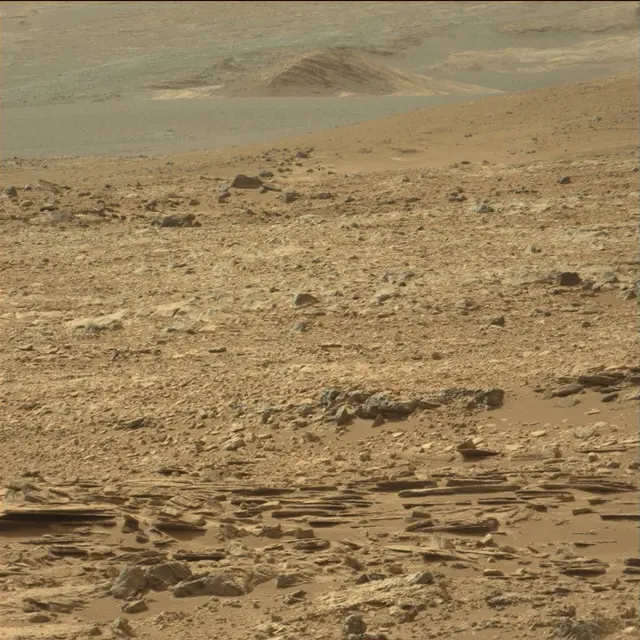 Sol 66: Mast Camera (Mastcam)