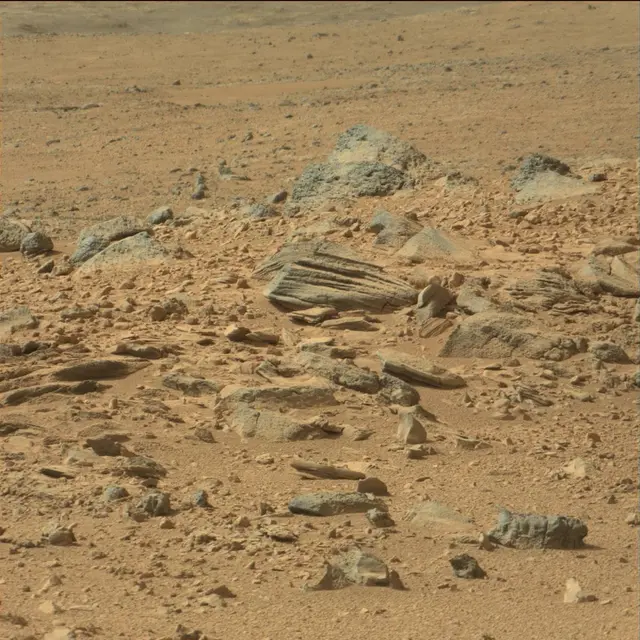 Sol 66: Mast Camera (Mastcam)