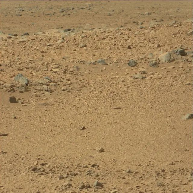Sol 66: Mast Camera (Mastcam)