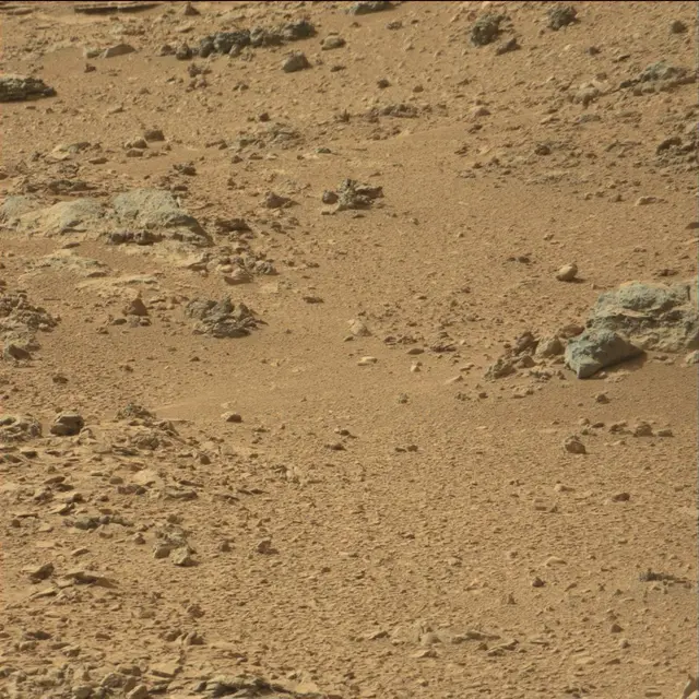 Sol 66: Mast Camera (Mastcam)