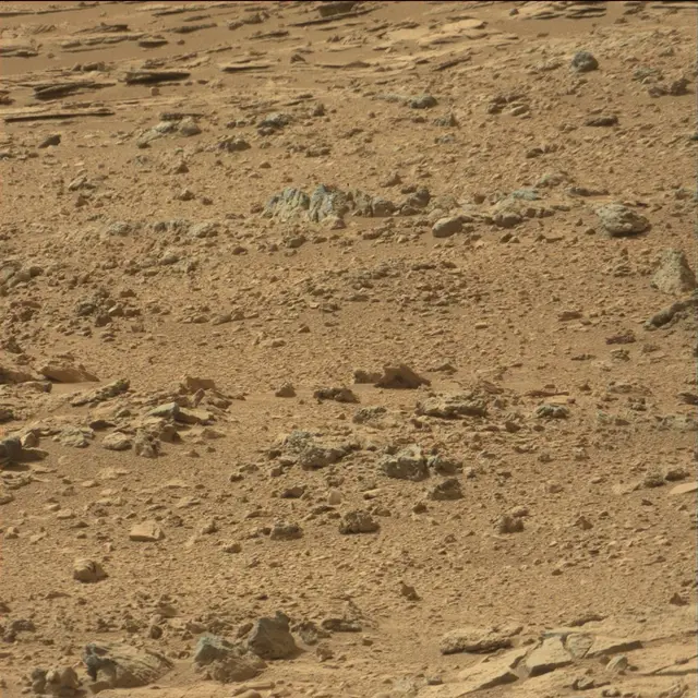 Sol 66: Mast Camera (Mastcam)