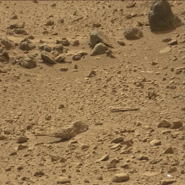 Sol 66: Mast Camera (Mastcam)
