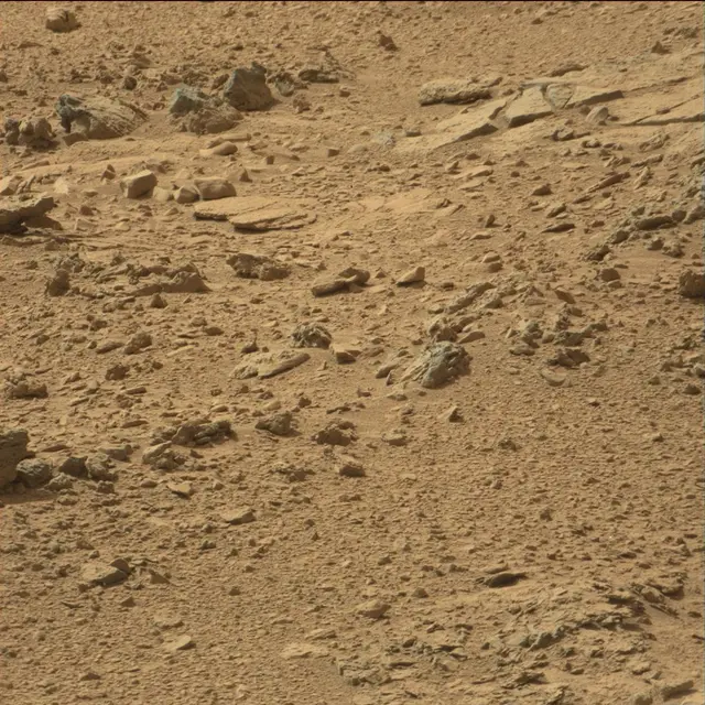 Sol 66: Mast Camera (Mastcam)