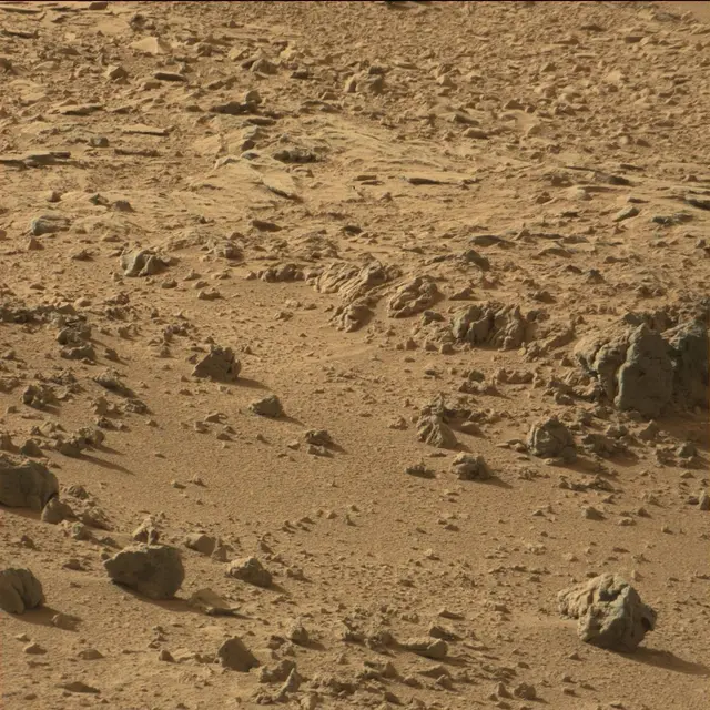 Sol 67: Mast Camera (Mastcam)