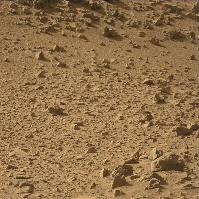Sol 67: Mast Camera (Mastcam)