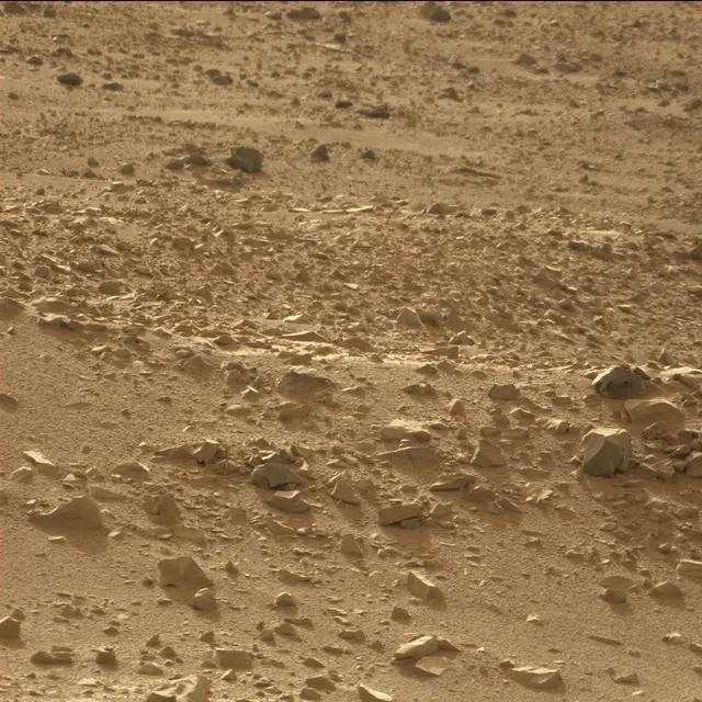 Sol 70: Mast Camera (Mastcam)