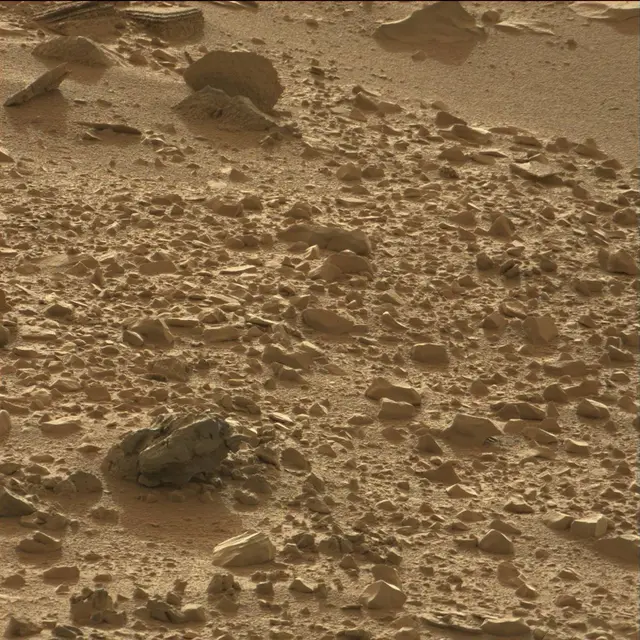 Sol 70: Mast Camera (Mastcam)