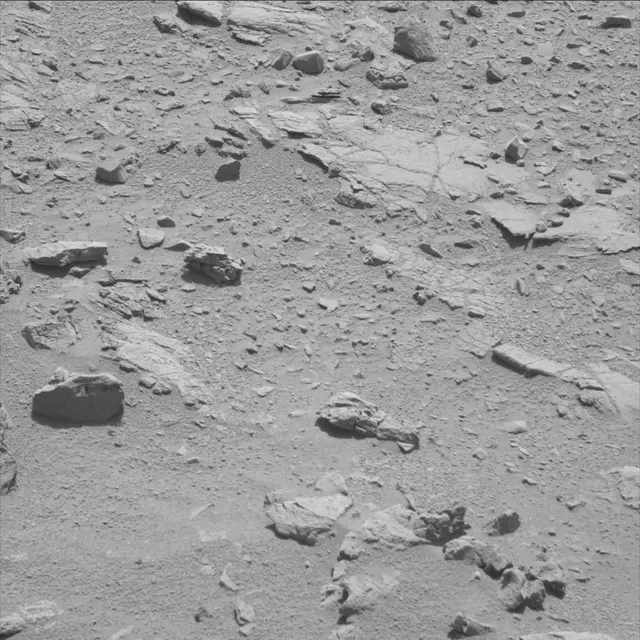Sol 71: Mast Camera (Mastcam)
