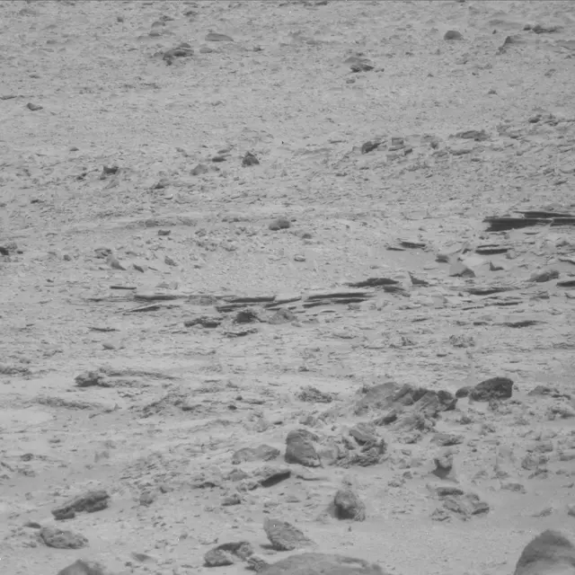 Sol 71: Mast Camera (Mastcam)