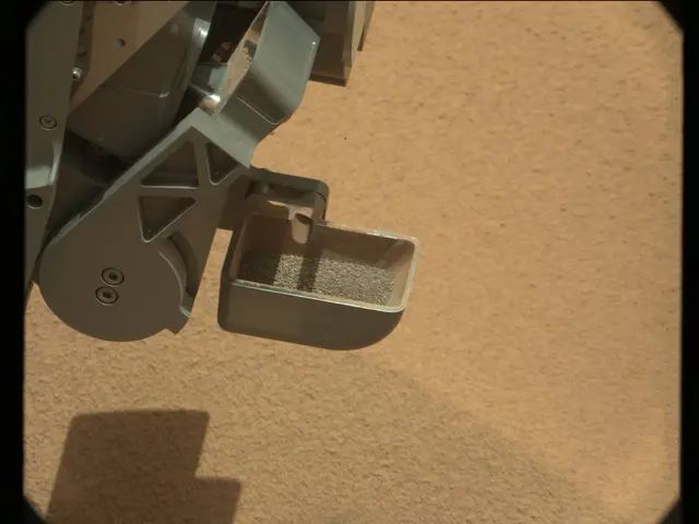 Sol 73: Mast Camera (Mastcam)