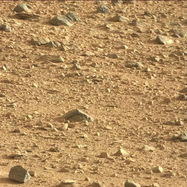 Sol 74: Mast Camera (Mastcam)