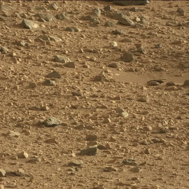 Sol 74: Mast Camera (Mastcam)