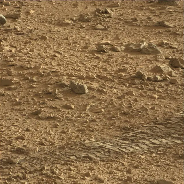 Sol 74: Mast Camera (Mastcam)