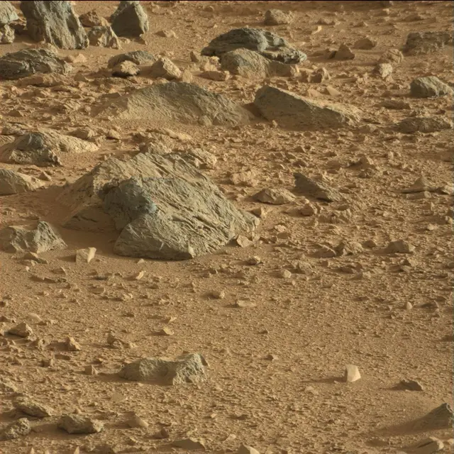 Sol 74: Mast Camera (Mastcam)
