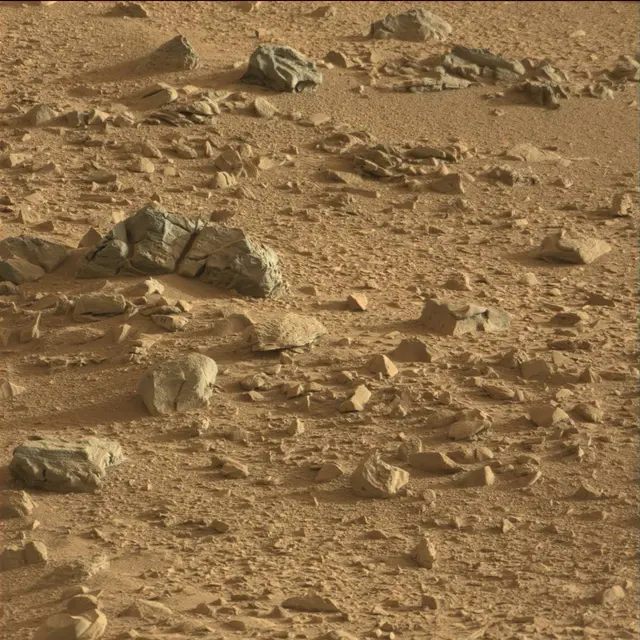 Sol 74: Mast Camera (Mastcam)
