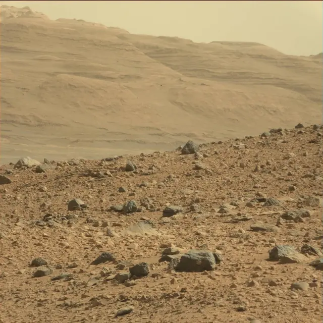 Sol 75: Mast Camera (Mastcam)