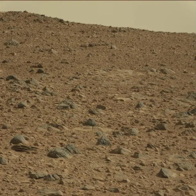 Sol 75: Mast Camera (Mastcam)