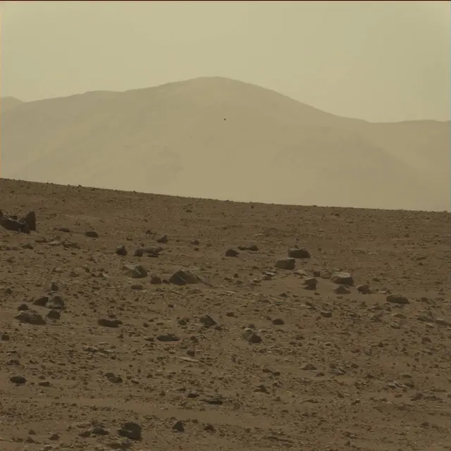 Sol 75: Mast Camera (Mastcam)