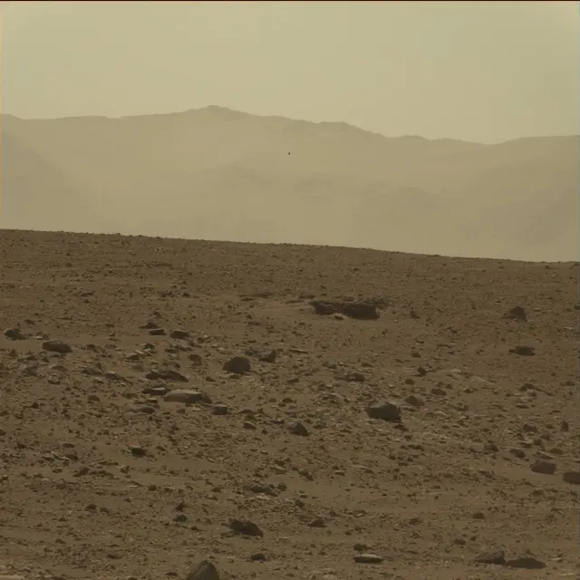 Sol 75: Mast Camera (Mastcam)