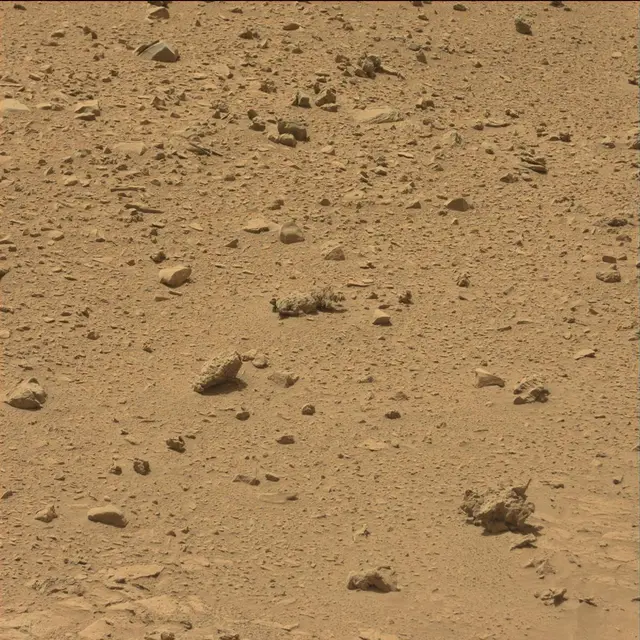 Sol 77: Mast Camera (Mastcam)