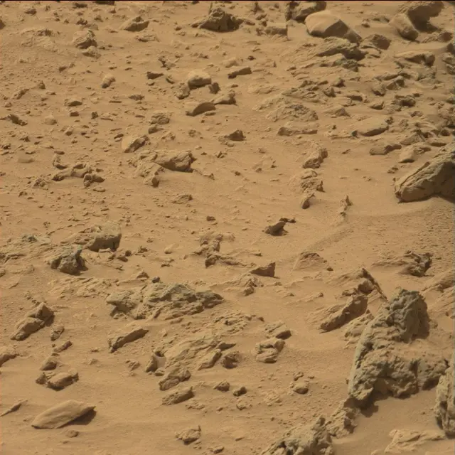 Sol 77: Mast Camera (Mastcam)