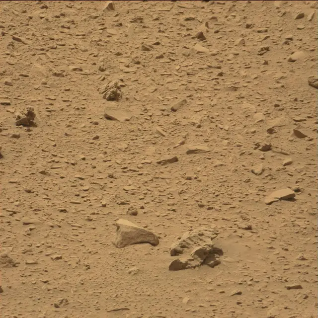Sol 77: Mast Camera (Mastcam)