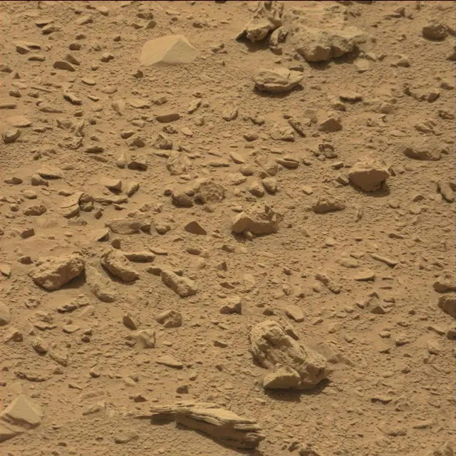 Sol 77: Mast Camera (Mastcam)