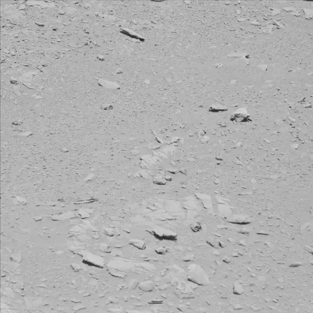 Sol 78: Mast Camera (Mastcam)