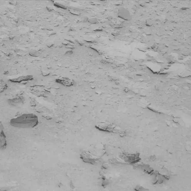 Sol 78: Mast Camera (Mastcam)