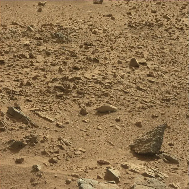 Sol 78: Mast Camera (Mastcam)