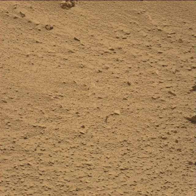 Sol 78: Mast Camera (Mastcam)