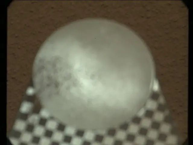 Sol 78: Mast Camera (Mastcam)