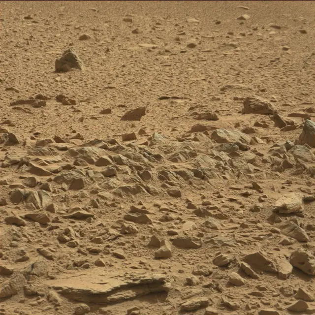 Sol 78: Mast Camera (Mastcam)