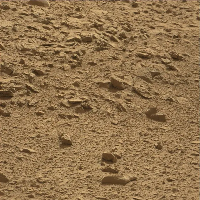 Sol 78: Mast Camera (Mastcam)