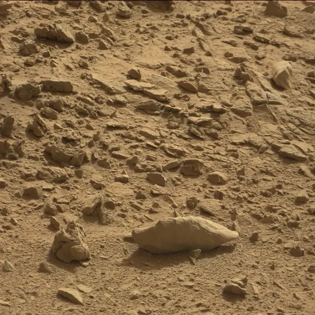 Sol 78: Mast Camera (Mastcam)