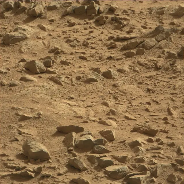 Sol 78: Mast Camera (Mastcam)
