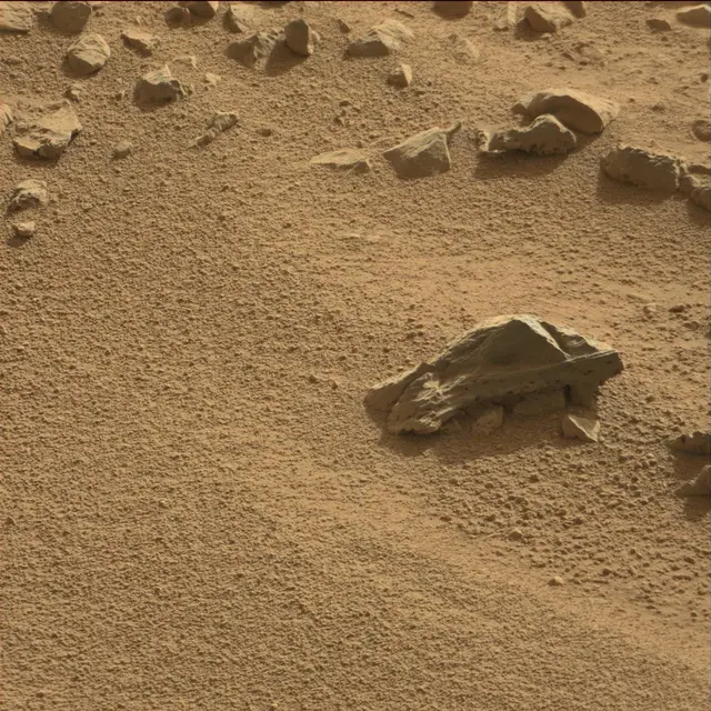 Sol 78: Mast Camera (Mastcam)