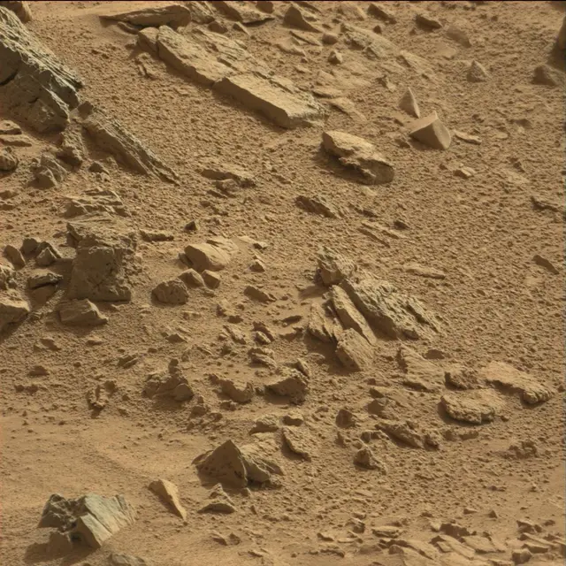 Sol 78: Mast Camera (Mastcam)