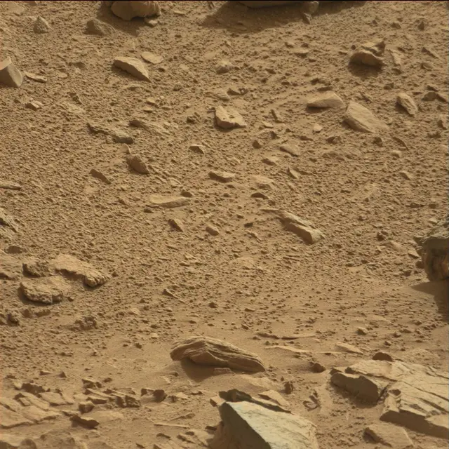 Sol 78: Mast Camera (Mastcam)
