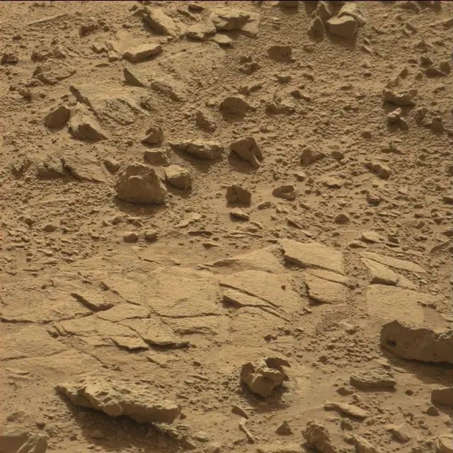 Sol 78: Mast Camera (Mastcam)