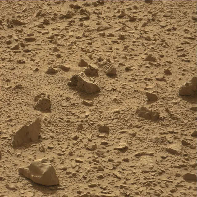 Sol 78: Mast Camera (Mastcam)