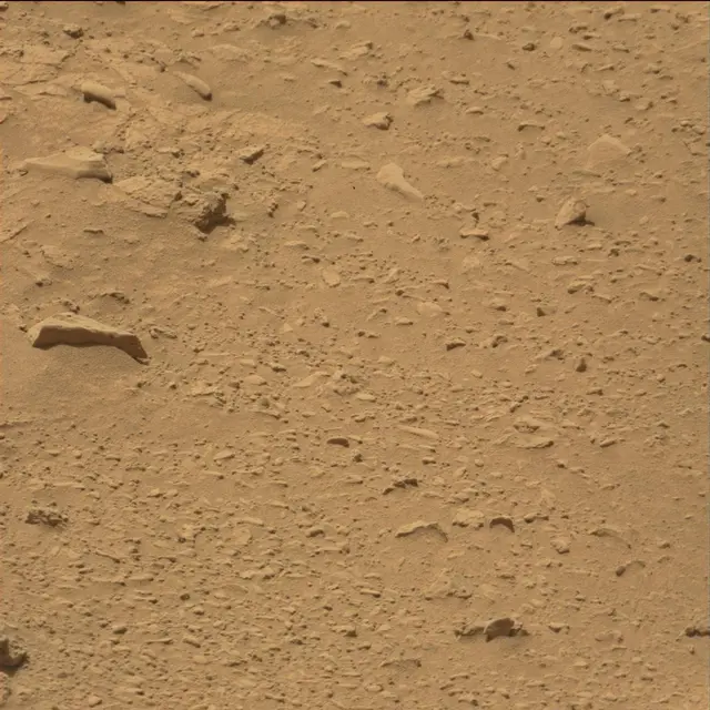 Sol 79: Mast Camera (Mastcam)