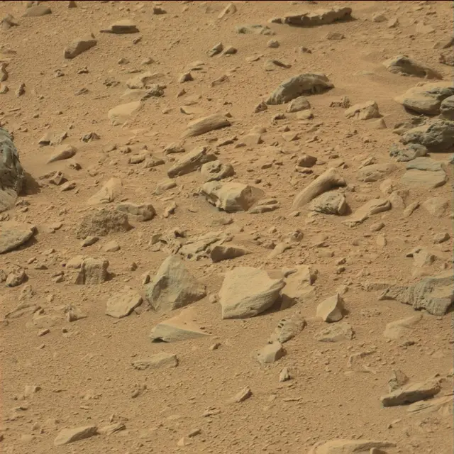 Sol 80: Mast Camera (Mastcam)