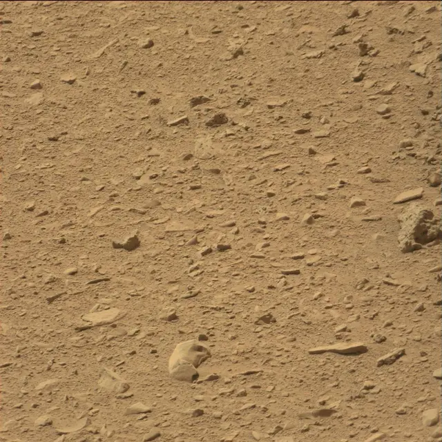 Sol 80: Mast Camera (Mastcam)