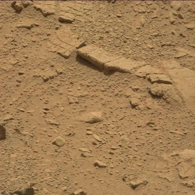 Sol 82: Mast Camera (Mastcam)
