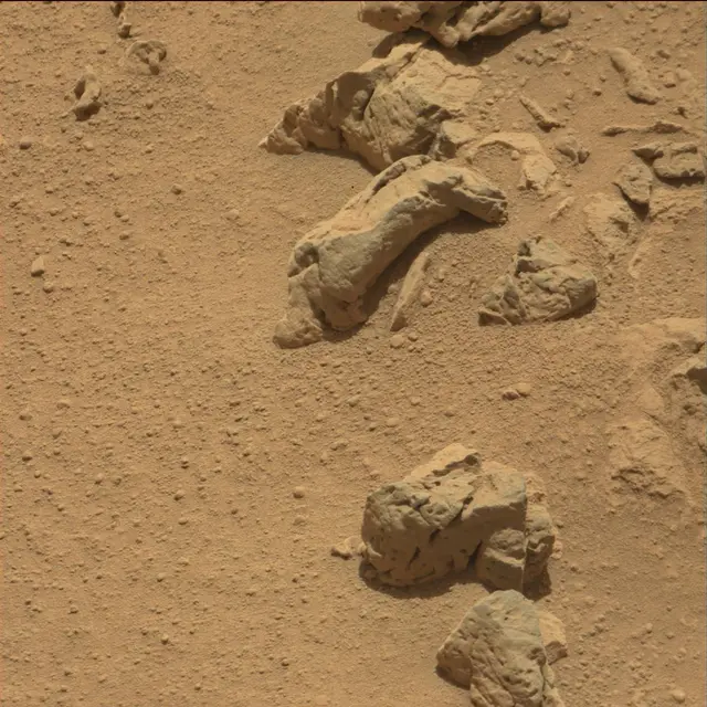 Sol 85: Mast Camera (Mastcam)