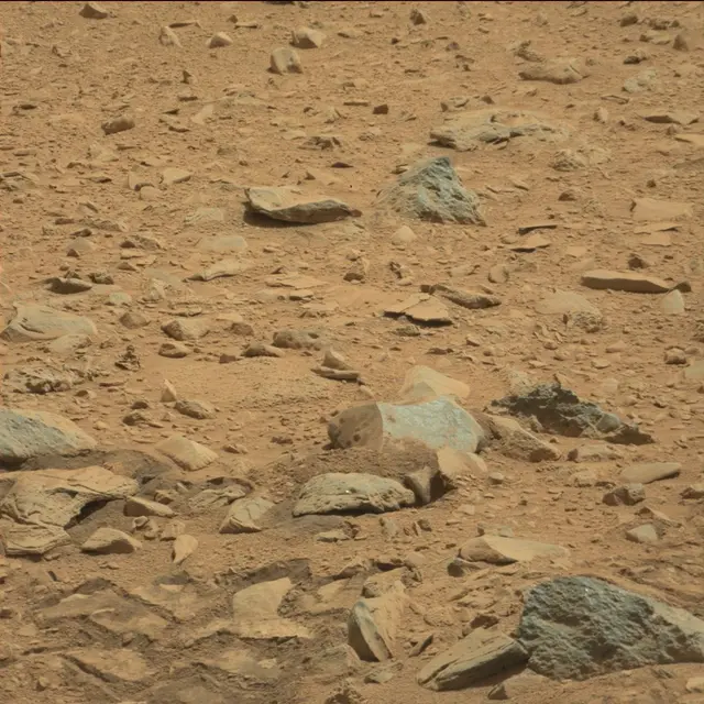 Sol 88: Mast Camera (Mastcam)