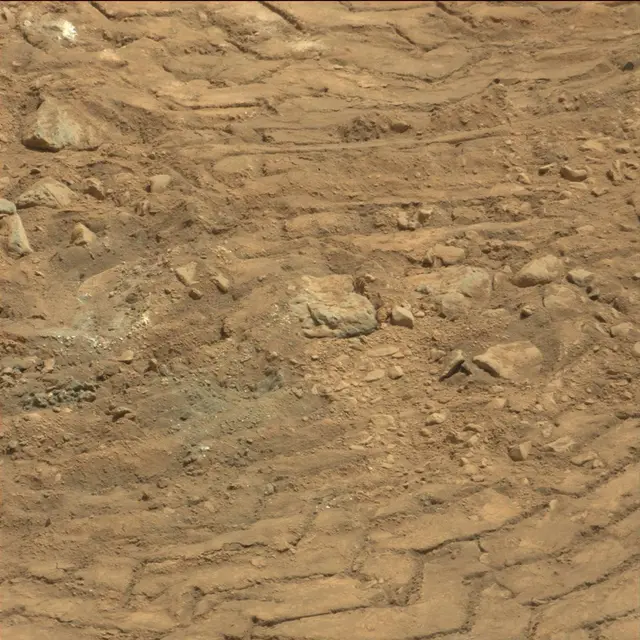 Sol 88: Mast Camera (Mastcam)