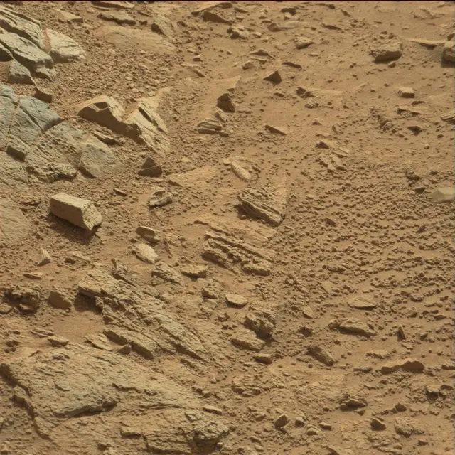 Sol 89: Mast Camera (Mastcam)